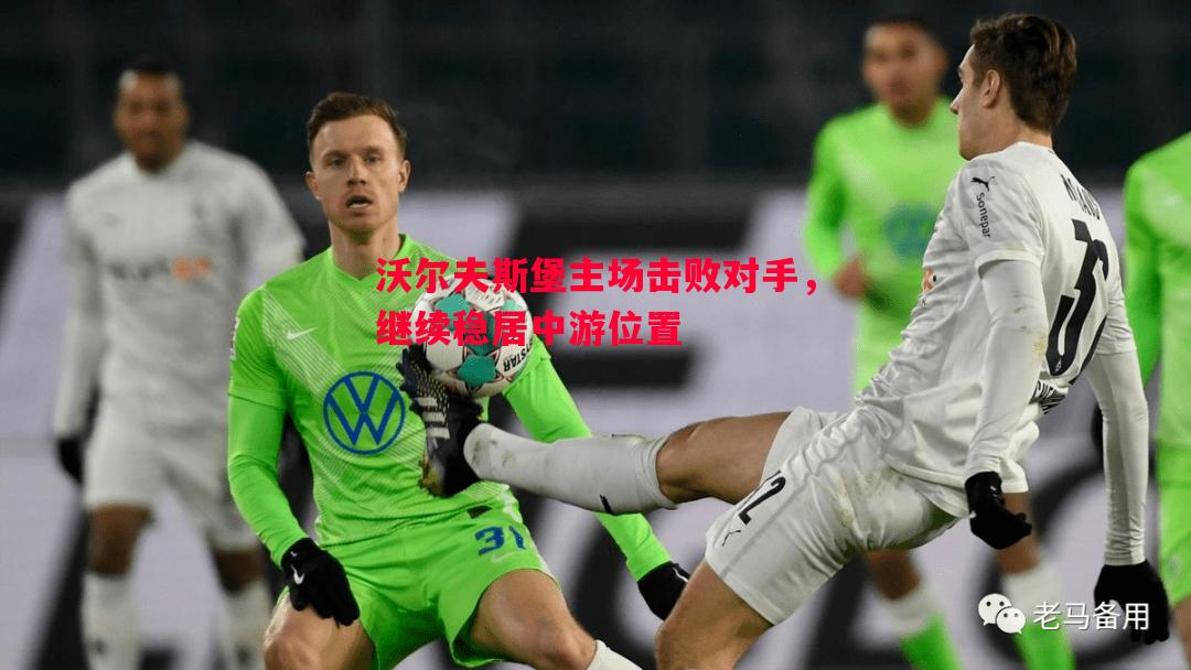 沃尔夫斯堡主场击败对手，继续稳居中游位置