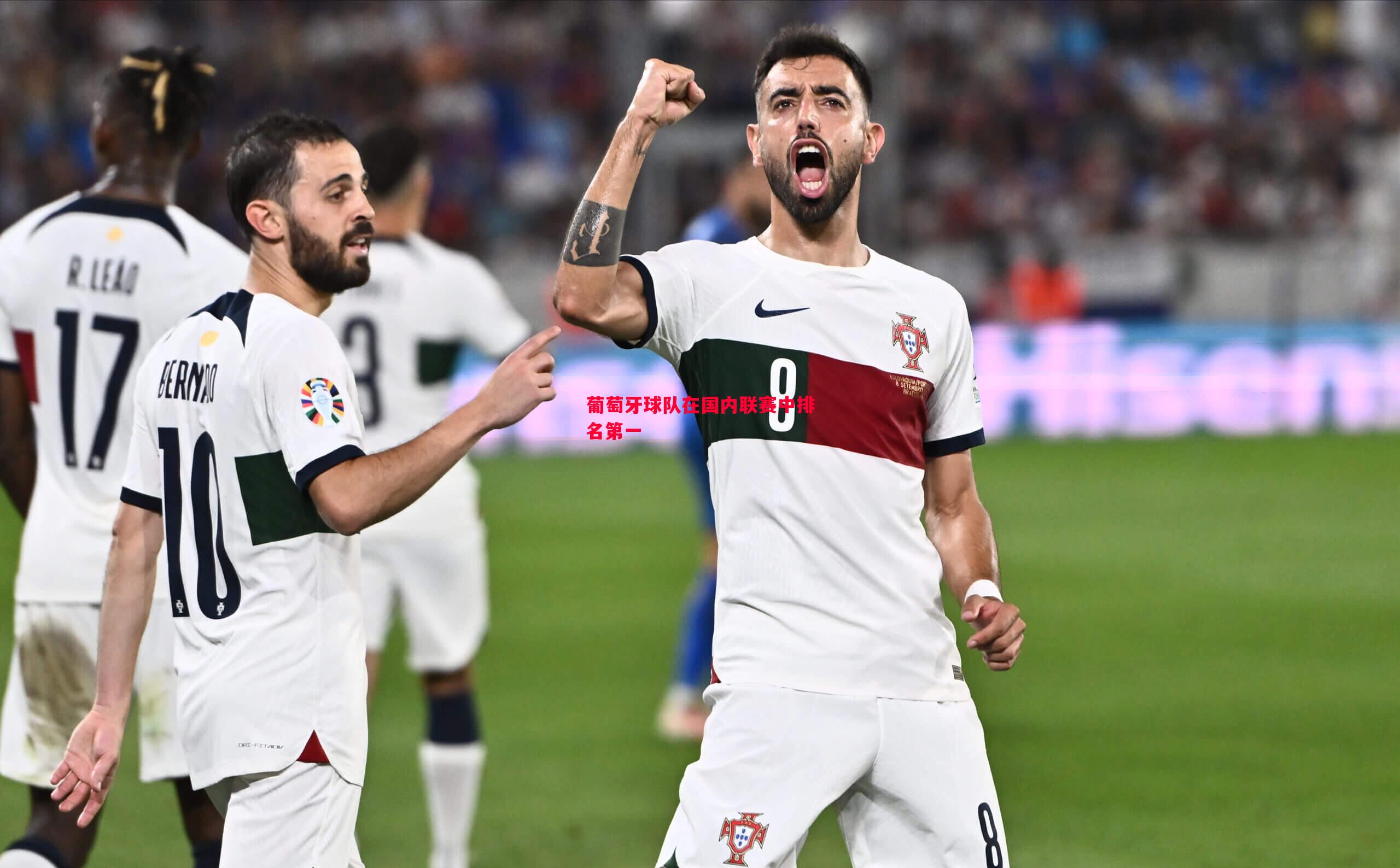 悟空体育官方网站-葡萄牙球队在国内联赛中排名第一