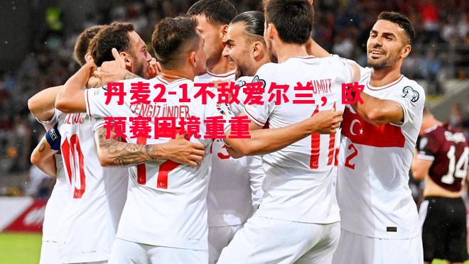 悟空体育-丹麦2-1不敌爱尔兰，欧预赛困境重重