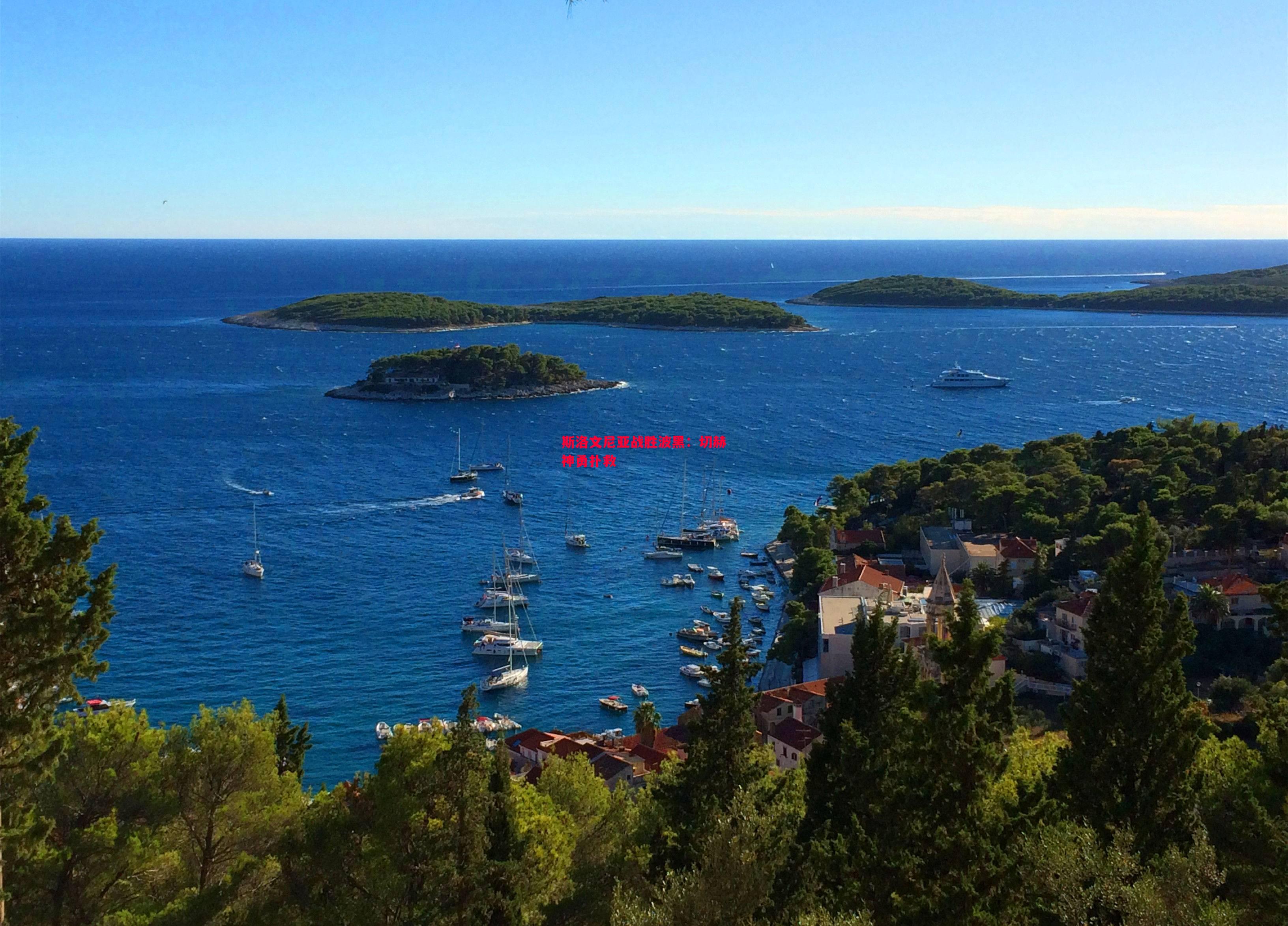 悟空体育-斯洛文尼亚战胜波黑：切赫神勇扑救