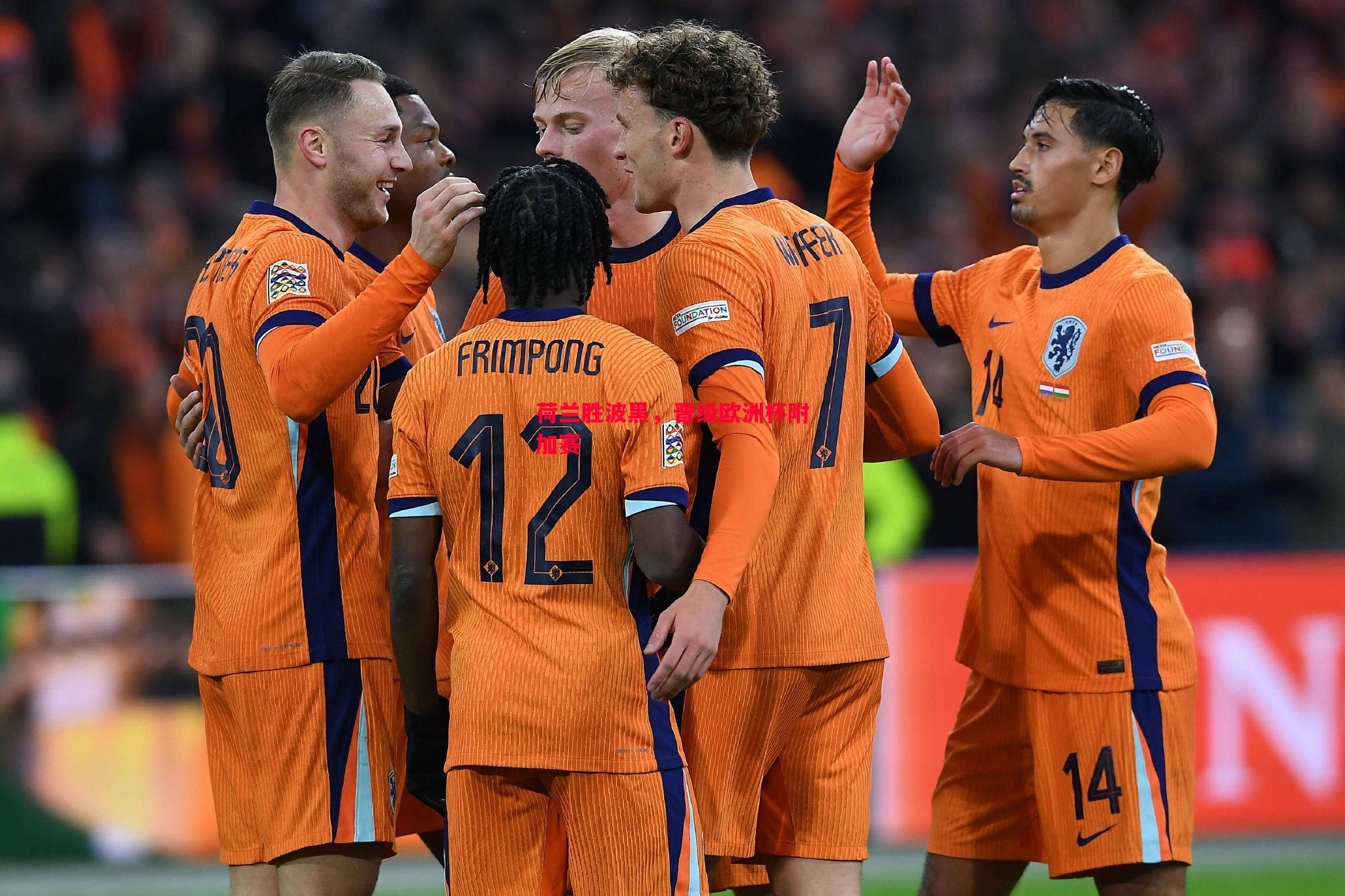 悟空体育官方网站-荷兰胜波黑，晋级欧洲杯附加赛